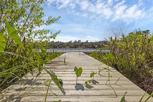 230 Fisher Run, Ocklawaha, FL 32179 - Photo 47