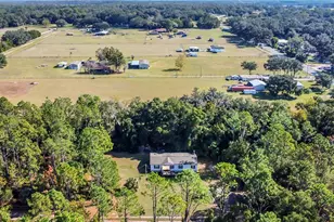 42312 Webster St, Altoona, FL 32702 - Photo 27