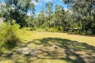 4547 SW 128th Pl, Webster, FL 33597 - Photo 7