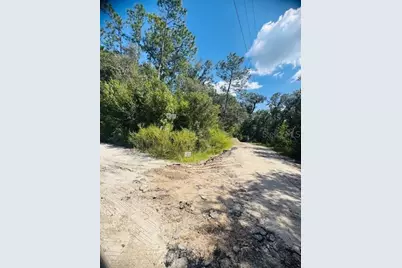 4547 SW 128th Place, Webster, FL 33597 - Photo 13