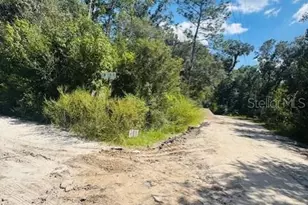 4547 SW 128th Pl, Webster, FL 33597 - Photo 13