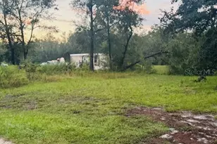 4547 SW 128th Pl, Webster, FL 33597 - Photo 5