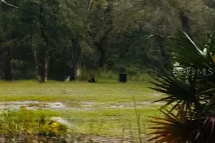 4547 SW 128th Pl, Webster, FL 33597 - Photo 9