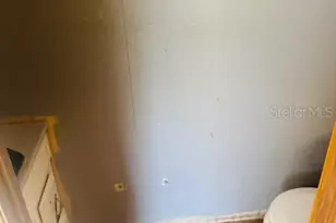 4547 SW 128th Pl, Webster, FL 33597 - Photo 21