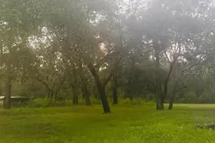 4547 SW 128th Pl, Webster, FL 33597 - Photo 7