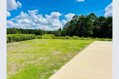 4813 SE 92nd Boulevard, Webster, FL 33597 - Photo 3