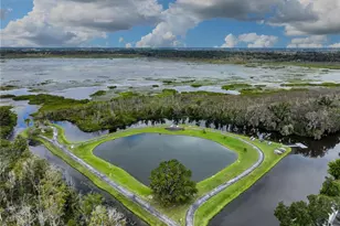 111 Sugar Maple Ave, Wildwood, FL 34785 - Photo 45