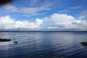 9035 Mossy Oak Ln, Clermont, FL 34711 - Photo 5