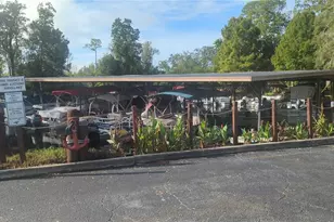 3217 Rainbow Rd, Tavares, FL 32778 - Photo 25