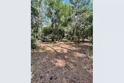 Thunderhead Street, Wesley Chapel, FL 33544 - Photo 3