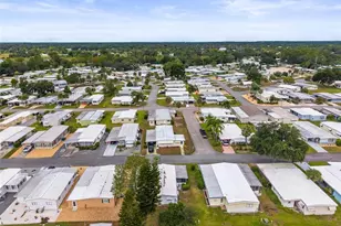 259 Kelou Ct, Leesburg, FL 34788 - Photo 45