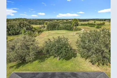 24214 Marbella Drive, Sorrento, FL 32776 - Photo 63