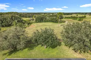 24214 Marbella Dr, Sorrento, FL 32776 - Photo 63