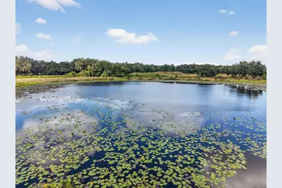 County Road 48, Groveland, FL 34736 - Photo 11