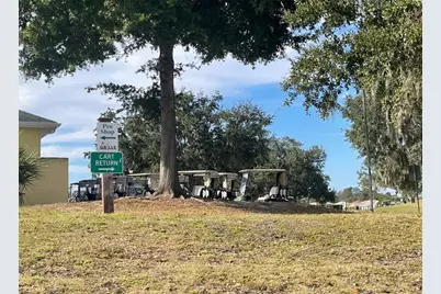 507 Cottage Park Lane, Leesburg, FL 34748 - Photo 27