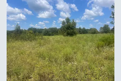 Tbd Keene Road, Umatilla, FL 32784 - Photo 3