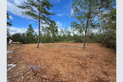 Kentucky Street, Paisley, FL 32767 - Photo 5