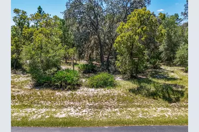 3134 Bright Lake Circle, Leesburg, FL 34748 - Photo 1