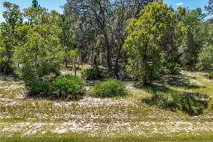 3134 Bright Lake Cir, Leesburg, FL 34748 - Photo 1