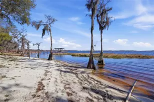 12120 Elbert St, Clermont, FL 34711 - Photo 47