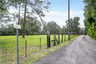 41812 Catbrier Ln, Umatilla, FL 32784 - Photo 7