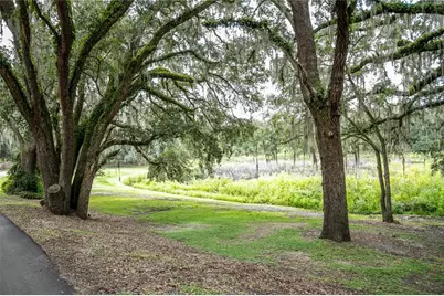 41812 Catbrier Lane, Umatilla, FL 32784 - Photo 9