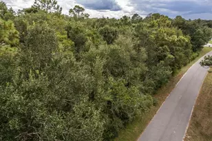 Interlachen Dr, Mount Plymouth, FL 32776 - Photo 1