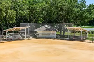 26104 Newcombe Cir, Leesburg, FL 34748 - Photo 59