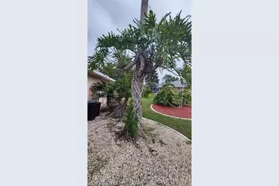 14219 Mansfield Road, Spring Hill, FL 34609 - Photo 31