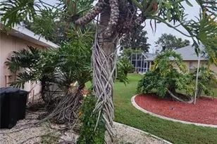 14219 Mansfield Rd, Spring Hill, FL 34609 - Photo 31