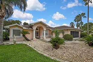 14219 Mansfield Rd, Spring Hill, FL 34609 - Photo 49