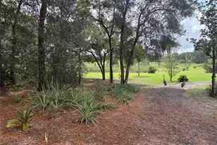 17755 SE 283rd Ave, Umatilla, FL 32784 - Photo 49