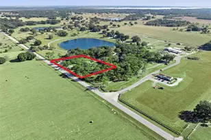 4432 Marion County Rd, Weirsdale, FL 32195 - Photo 53