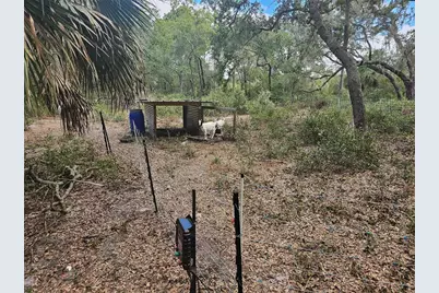 45070 Wild Acres Trail, Paisley, FL 32767 - Photo 11