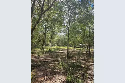 45070 Wild Acres Trail, Paisley, FL 32767 - Photo 23