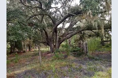 1649 Sail Lane, Kissimmee, FL 34759 - Photo 25