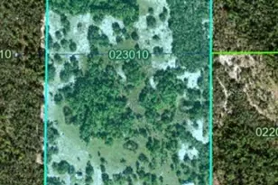 1649 Sail Ln, Kissimmee, FL 34759 - Photo 43