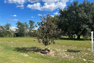 7434 Jasmine St, Groveland, FL 34736 - Photo 9