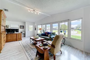 3233 Myakka River Rd, Tavares, FL 32778 - Photo 41