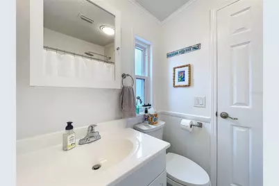 3233 Myakka River Road, Tavares, FL 32778 - Photo 35