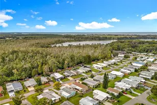 3233 Myakka River Rd, Tavares, FL 32778 - Photo 71