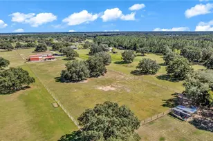 28321 Shirley Shores Rd, Tavares, FL 32778 - Photo 51