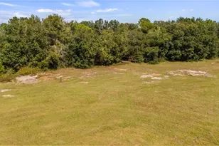 13343 Cr 727, Webster, FL 33597 - Photo 35