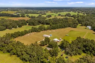 13343 Cr 727, Webster, FL 33597 - Photo 33