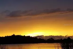 6639 Lake Emma Rd, Groveland, FL 34736 - Photo 5