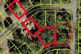 10 Sequoia Dr Trce, Ocklawaha, FL 32179 - Photo 31