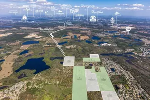 1399 Peaceful Nature Way, Clermont, FL 34714 - Photo 27