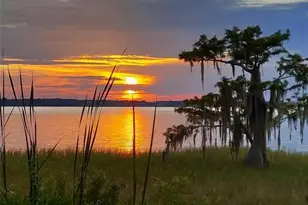 2225 Cypress Ct, Tavares, FL 32778 - Photo 1