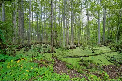 14 Golfview Trail, Wildwood, FL 34785 - Photo 63