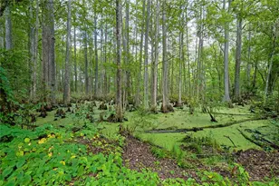 14 Golfview Trail, Wildwood, FL 34785 - Photo 63